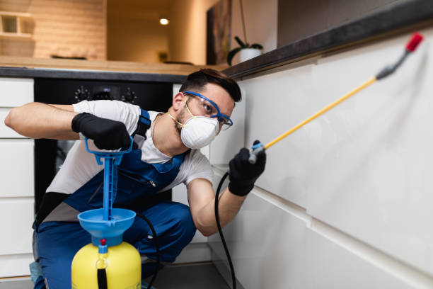  Jacksonville, AR Pest Control Pros