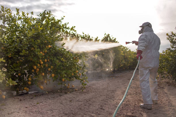 Best Pest Control for Businesses  in Jacksonville, AR