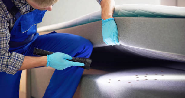 Best Residential Pest Control  in Jacksonville, AR