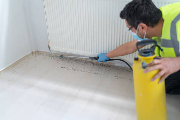 Professional Pest Control in Jacksonville, AR
